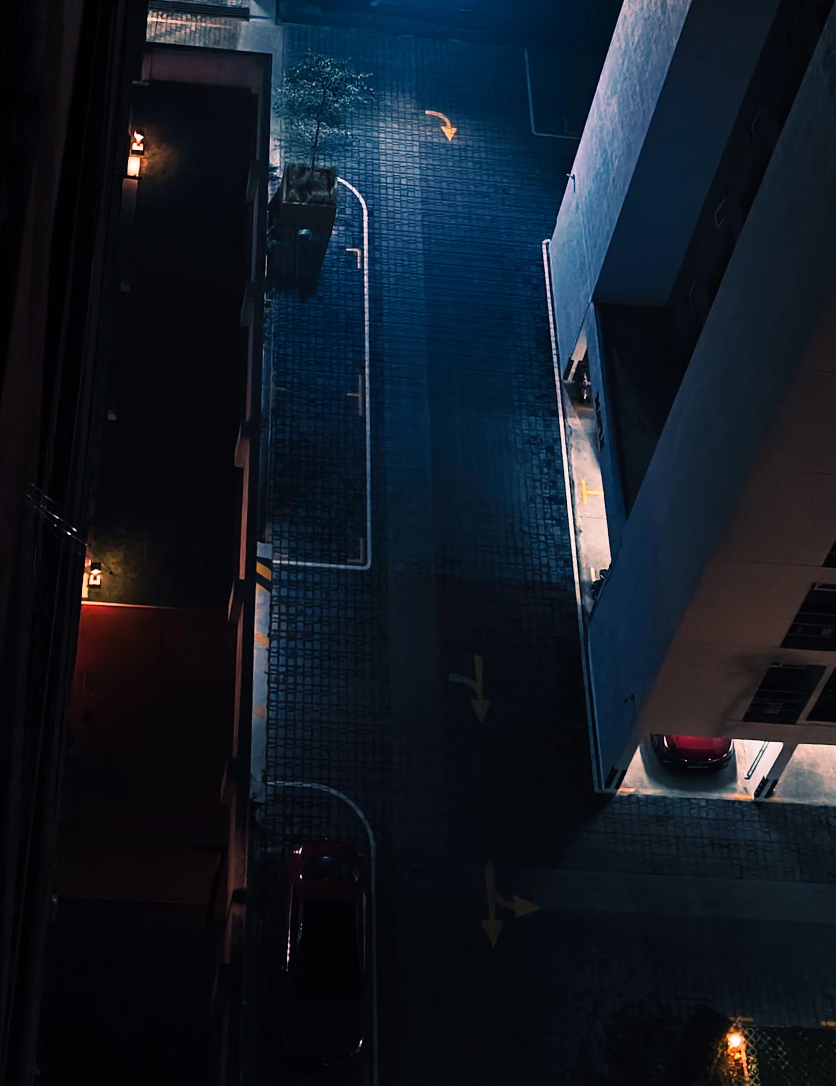 Photograph from the Aesthetic collection